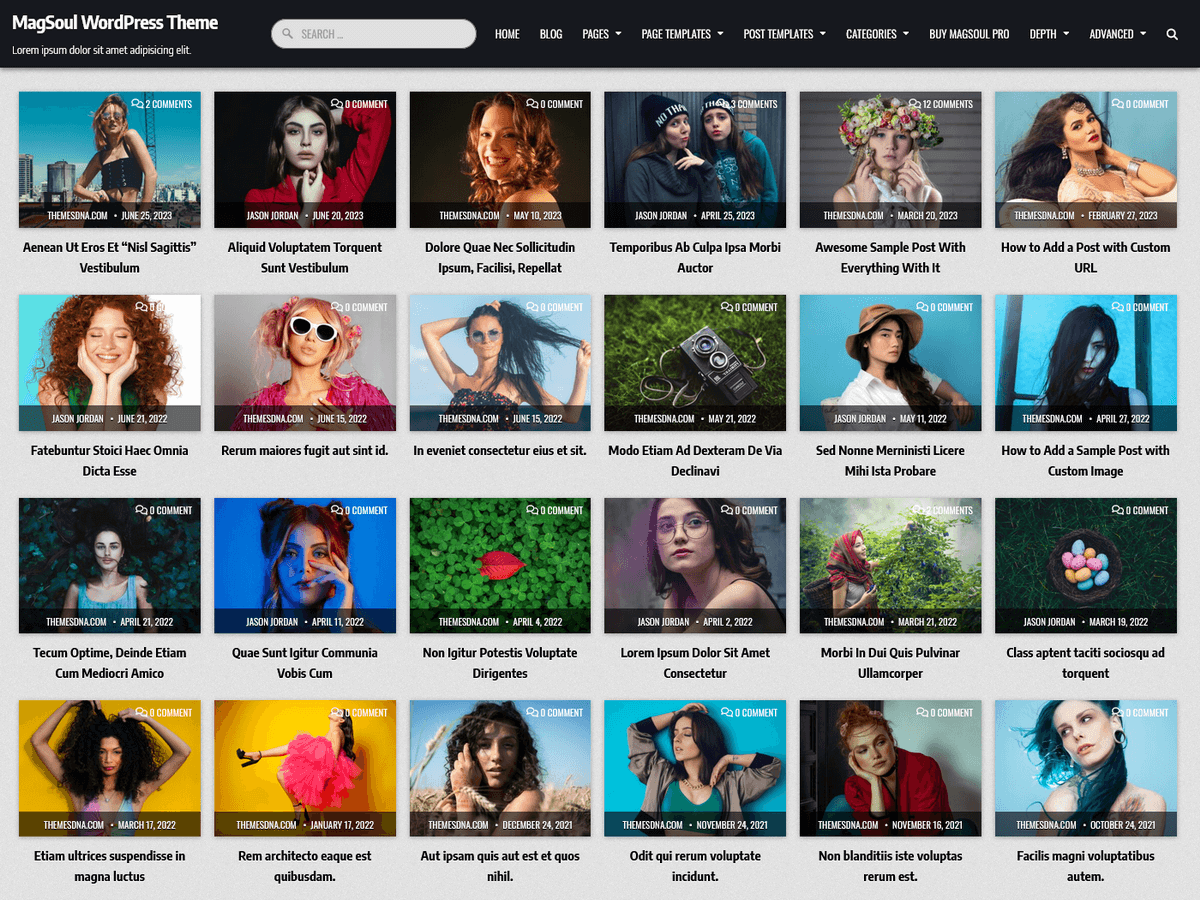MagSoul WordPress 主题