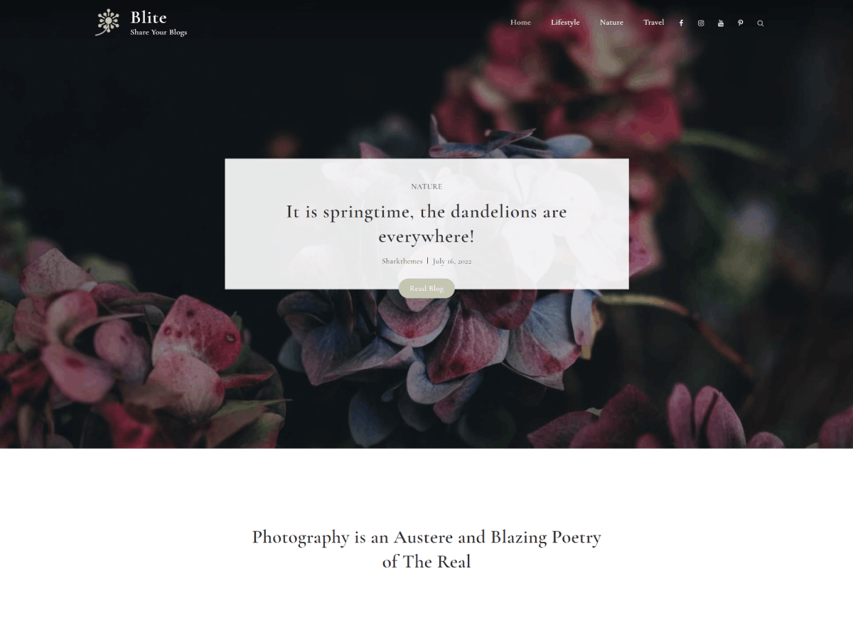 screenshot-716 Blite WordPress 主题