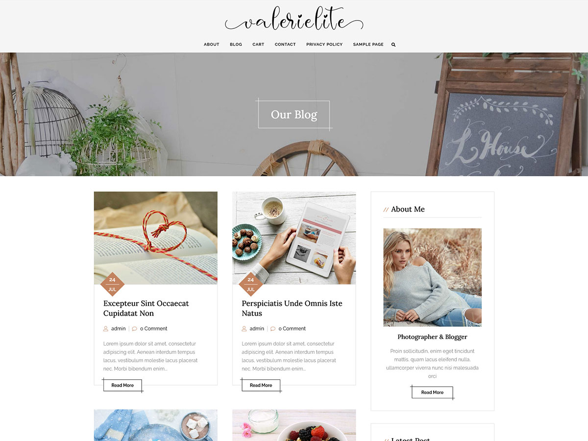 valerielite WordPress 主题
