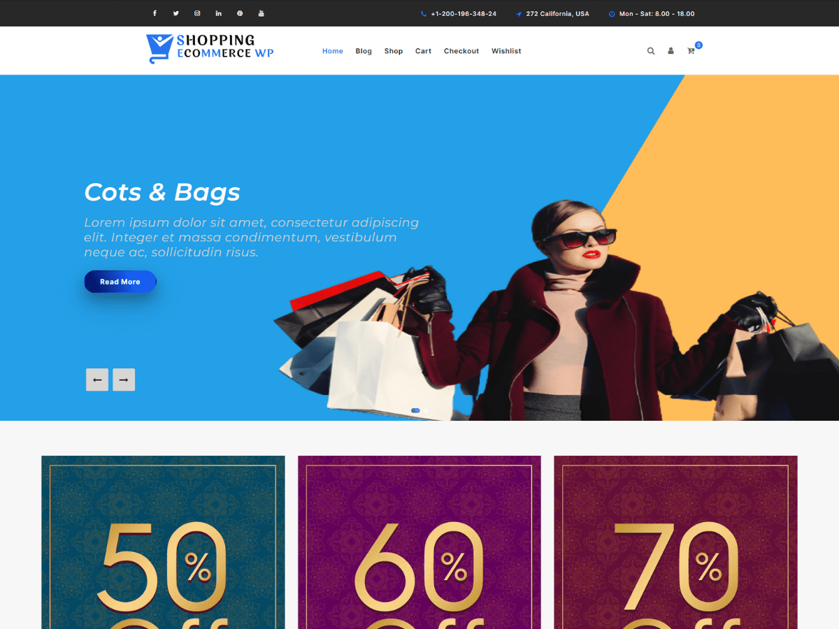 Shopping Ecommerce WP WordPress 主题