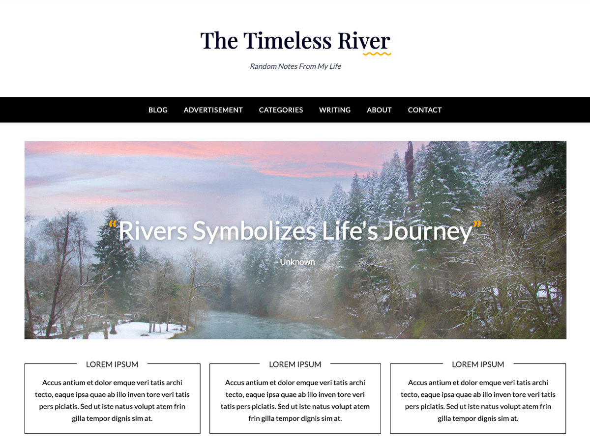 screenshot-799 Timeless Minimal WordPress 主题