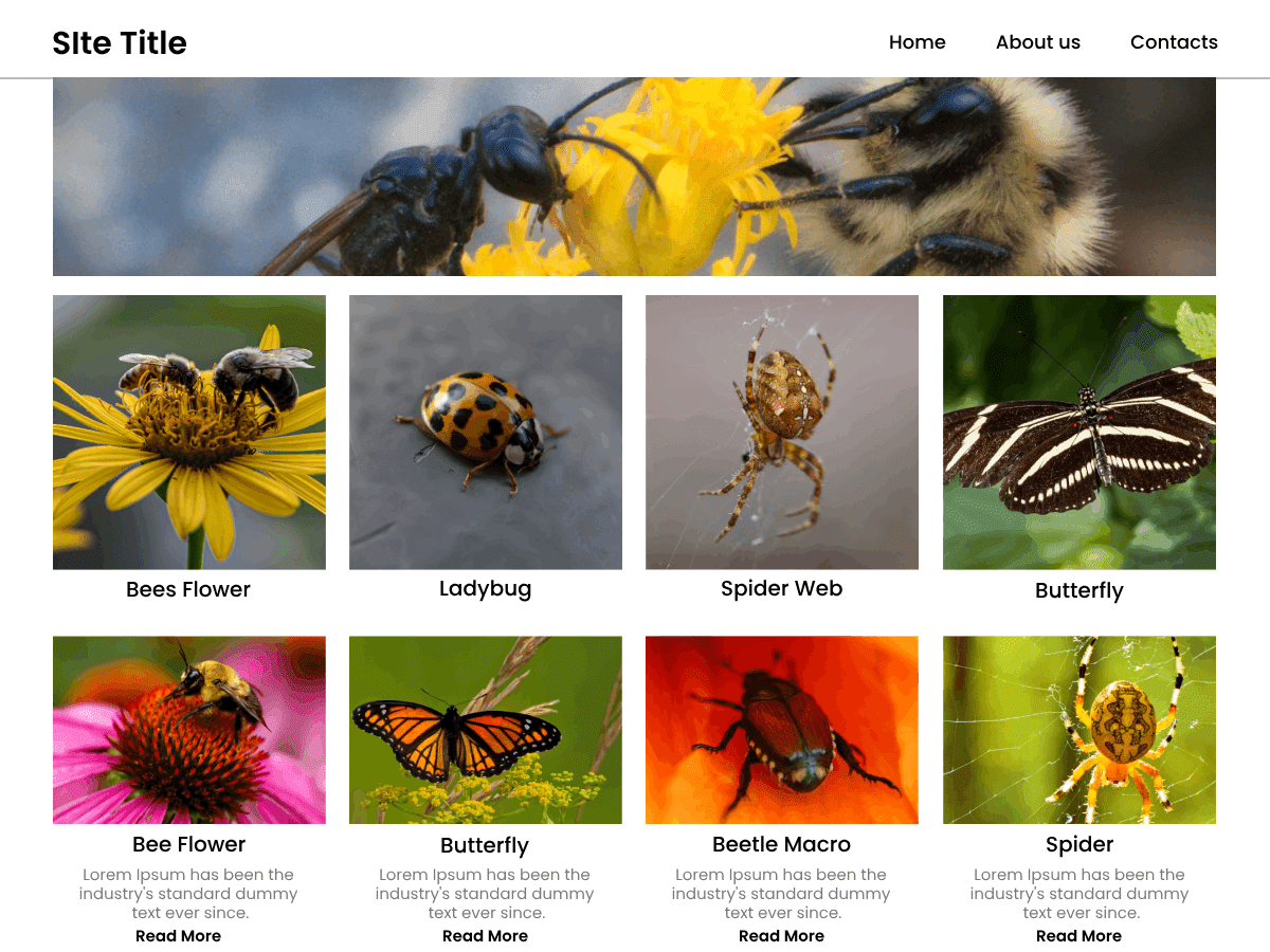screenshot-818 Ava WP WordPress 主题