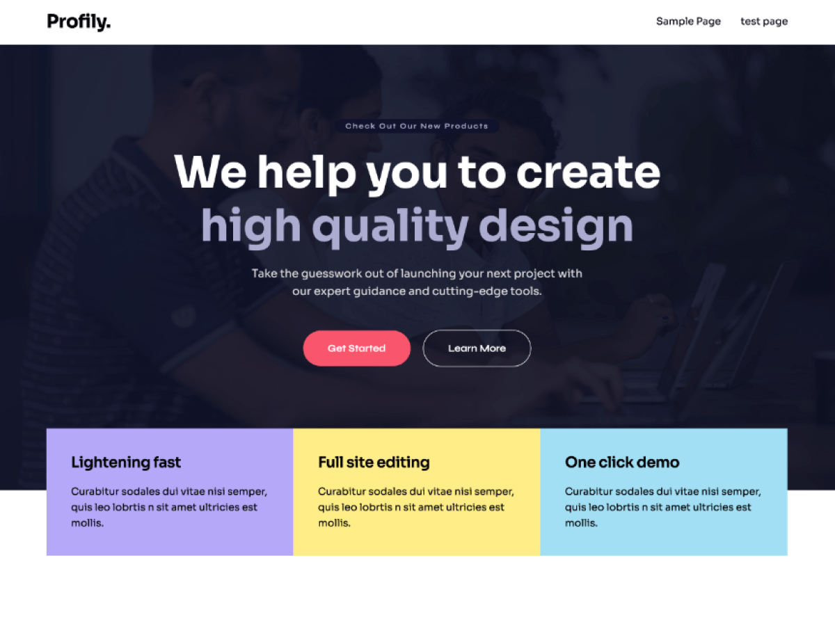 Profily WordPress 主题