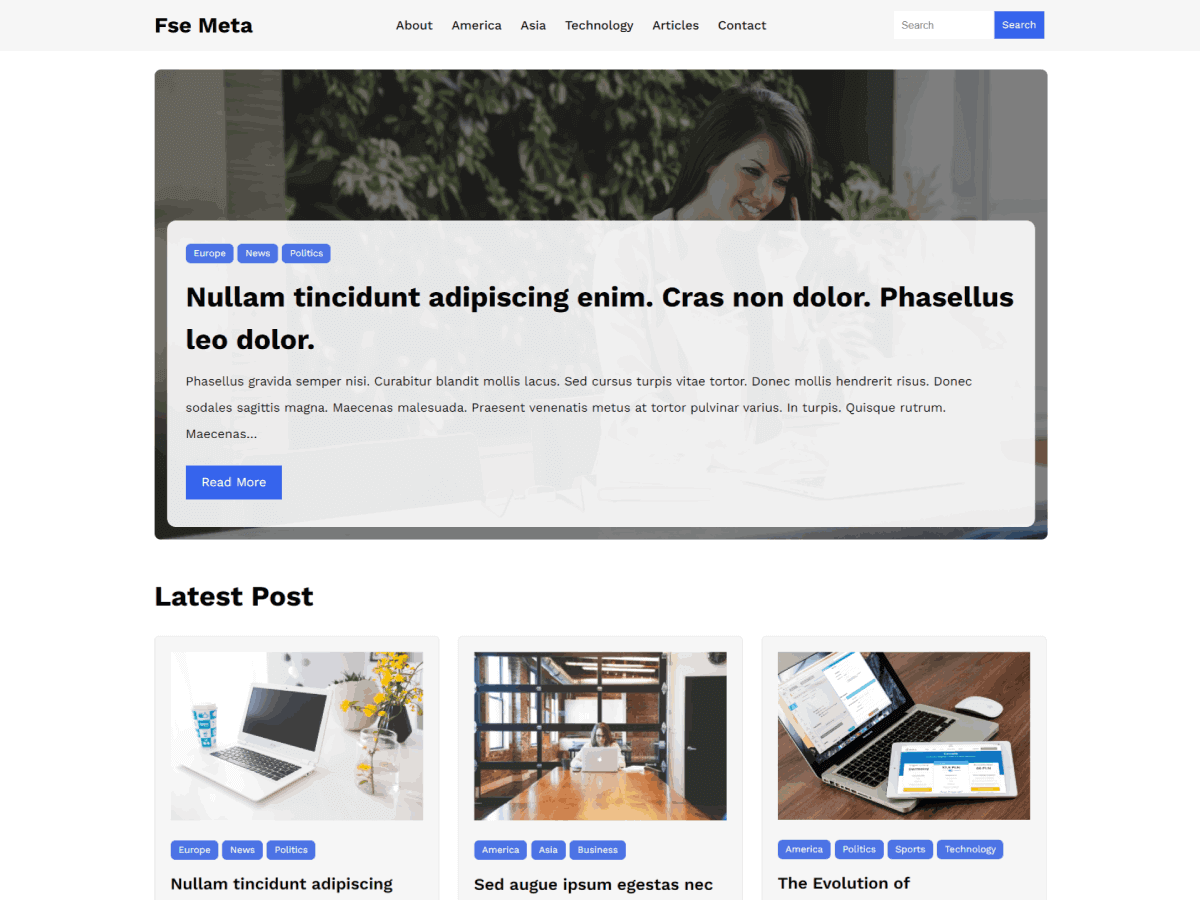 FSE Meta WordPress 主题