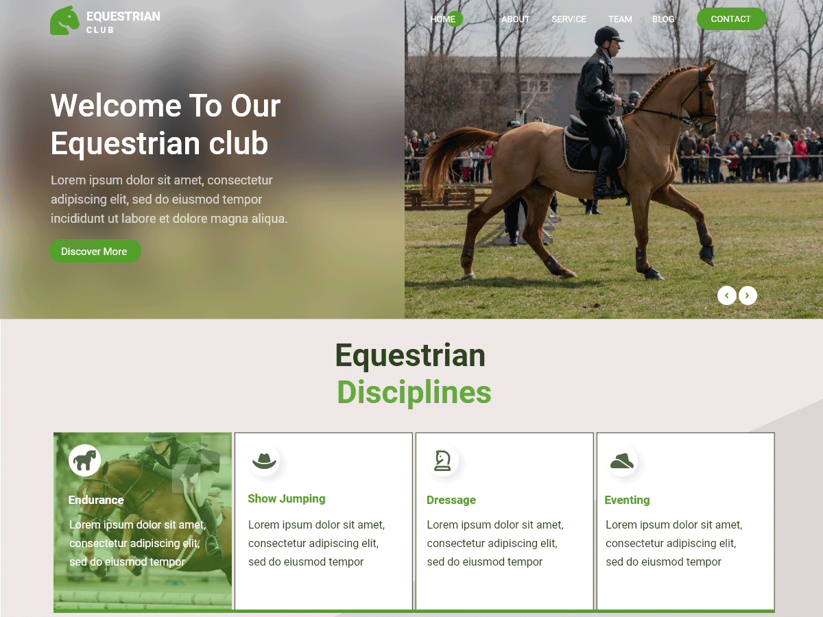 screenshot-892 Equestrian Center WordPress 主题