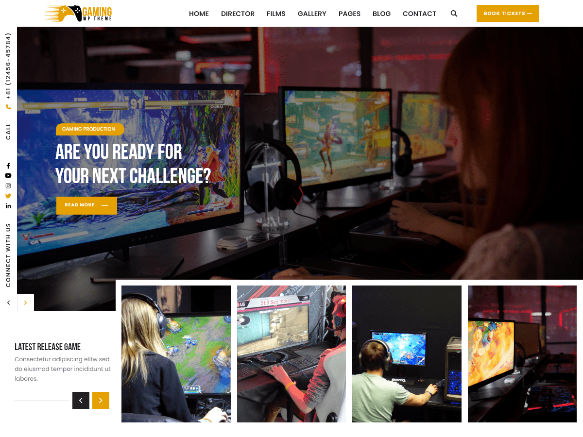 Expert Gamer WordPress 主题