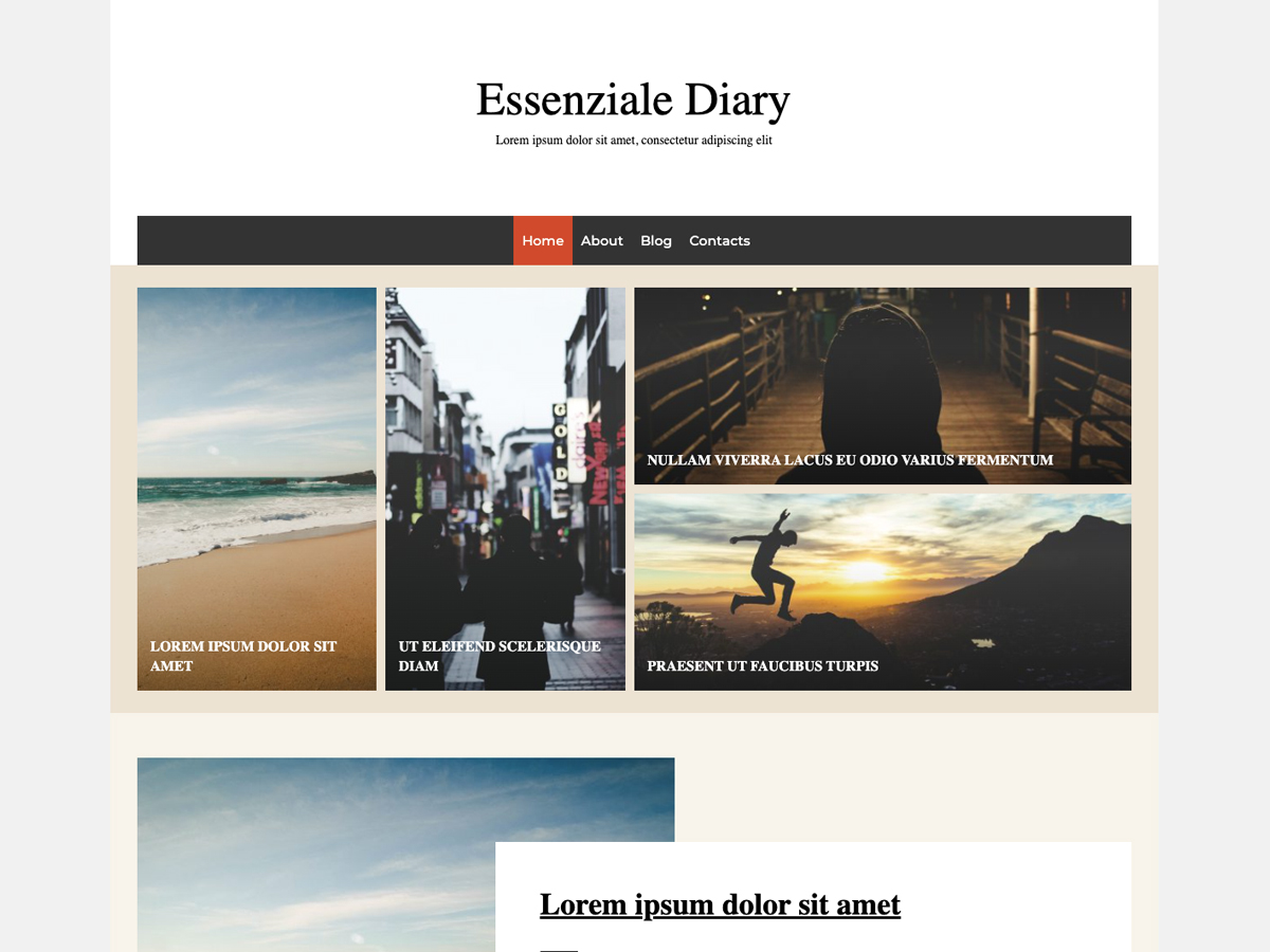 Essenziale Diary WordPress 主题