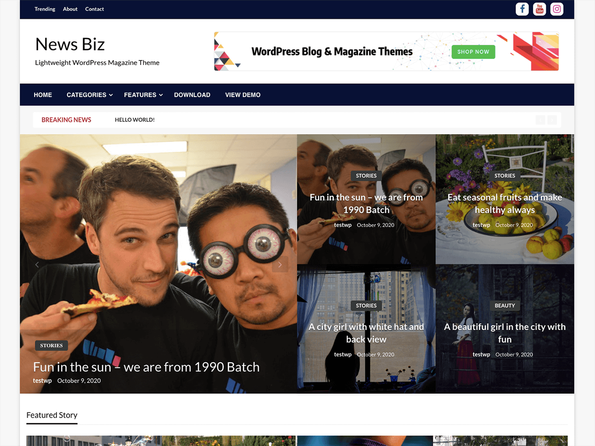 News Biz WordPress 主题
