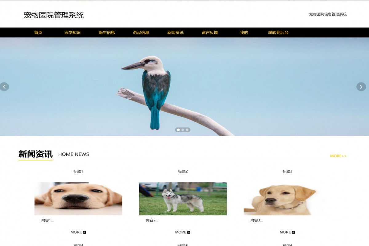 基于java(ssm)宠物医院管理系统