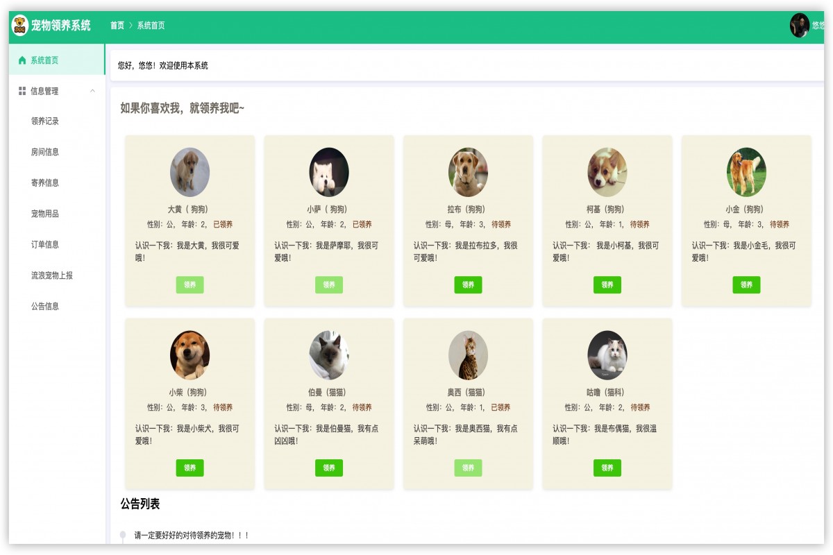 基于java(springboot)宠物领养管理系统