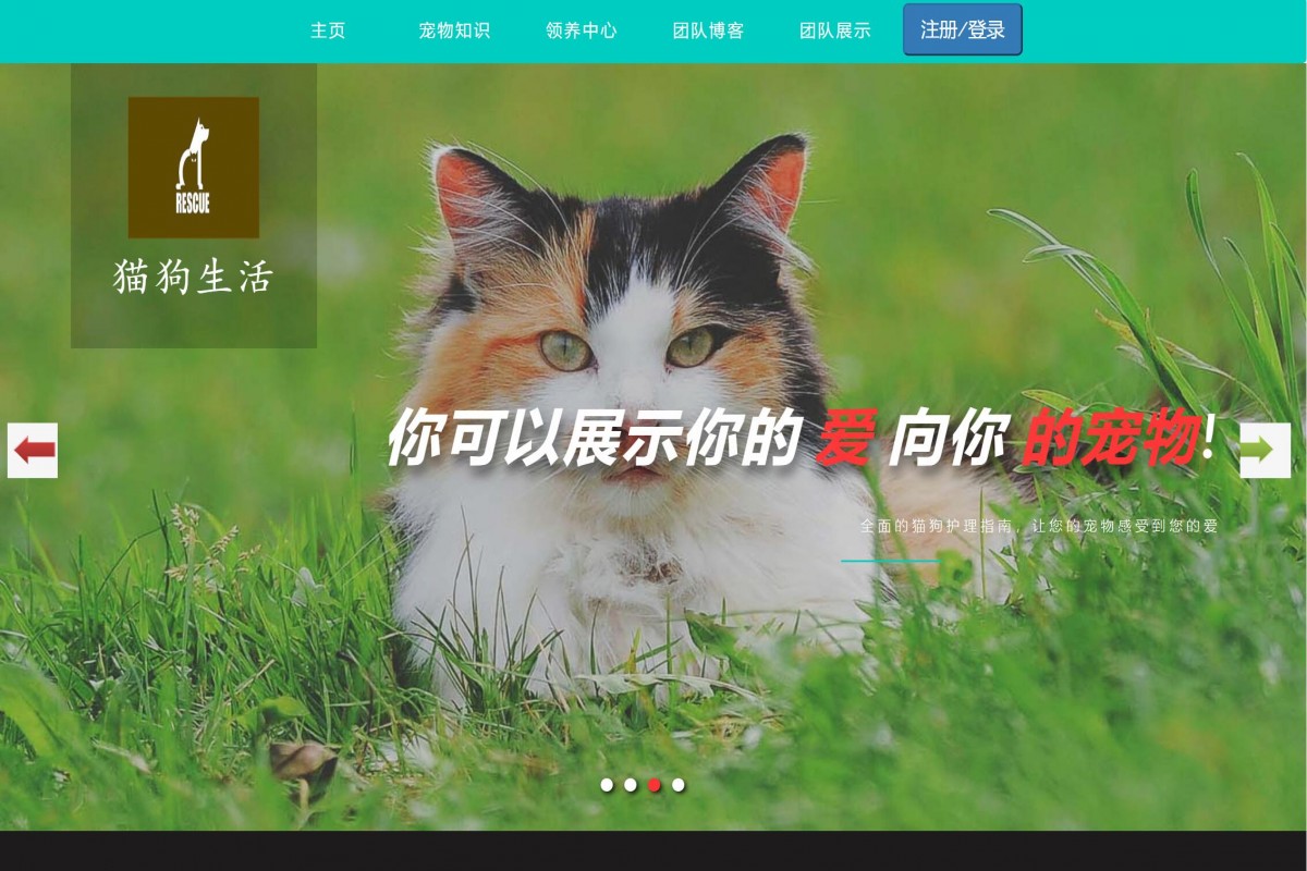 基于java(ssm)宠物领养管理系统