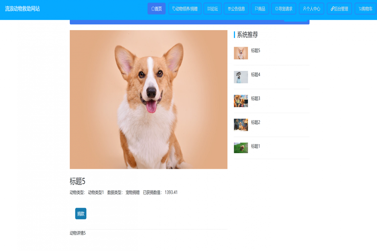 基于java(springboot)流浪动物救助网站