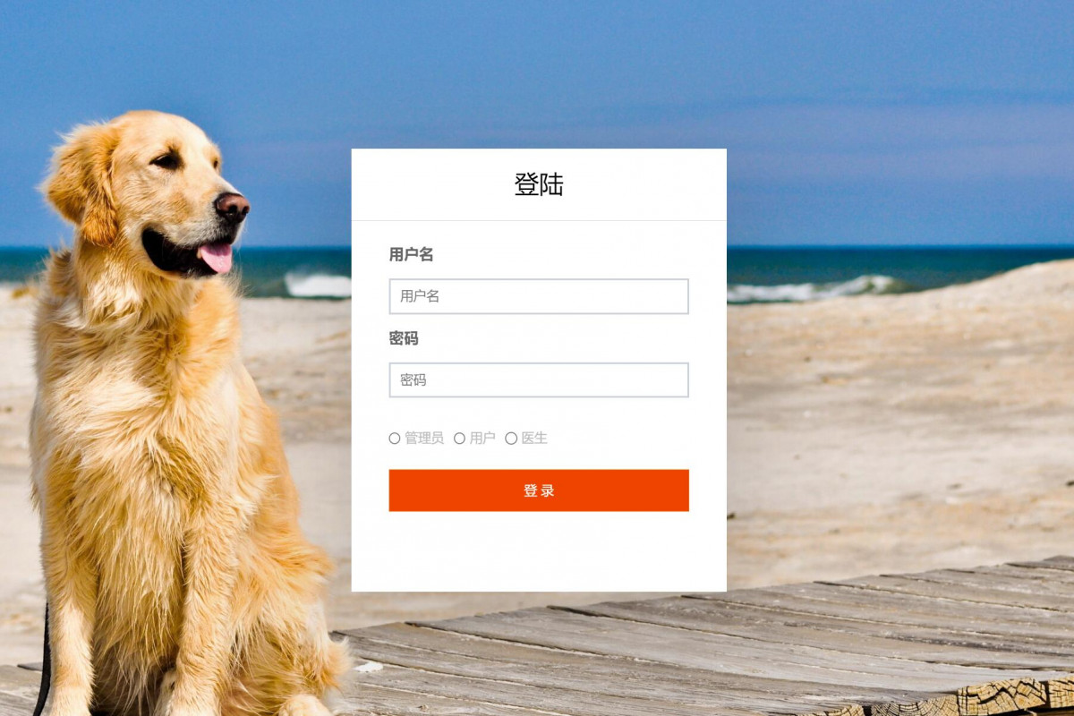 基于java(ssm)宠物医院管理系统