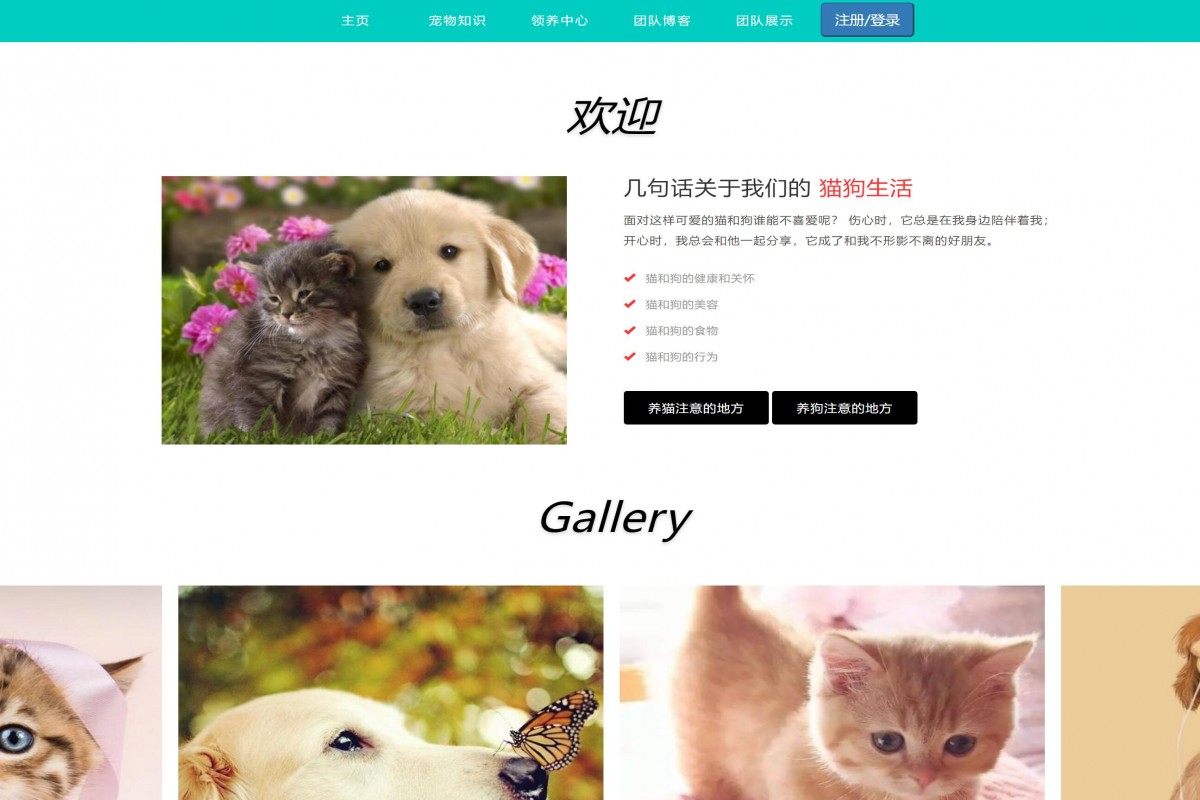 基于java(ssm)宠物领养管理系统