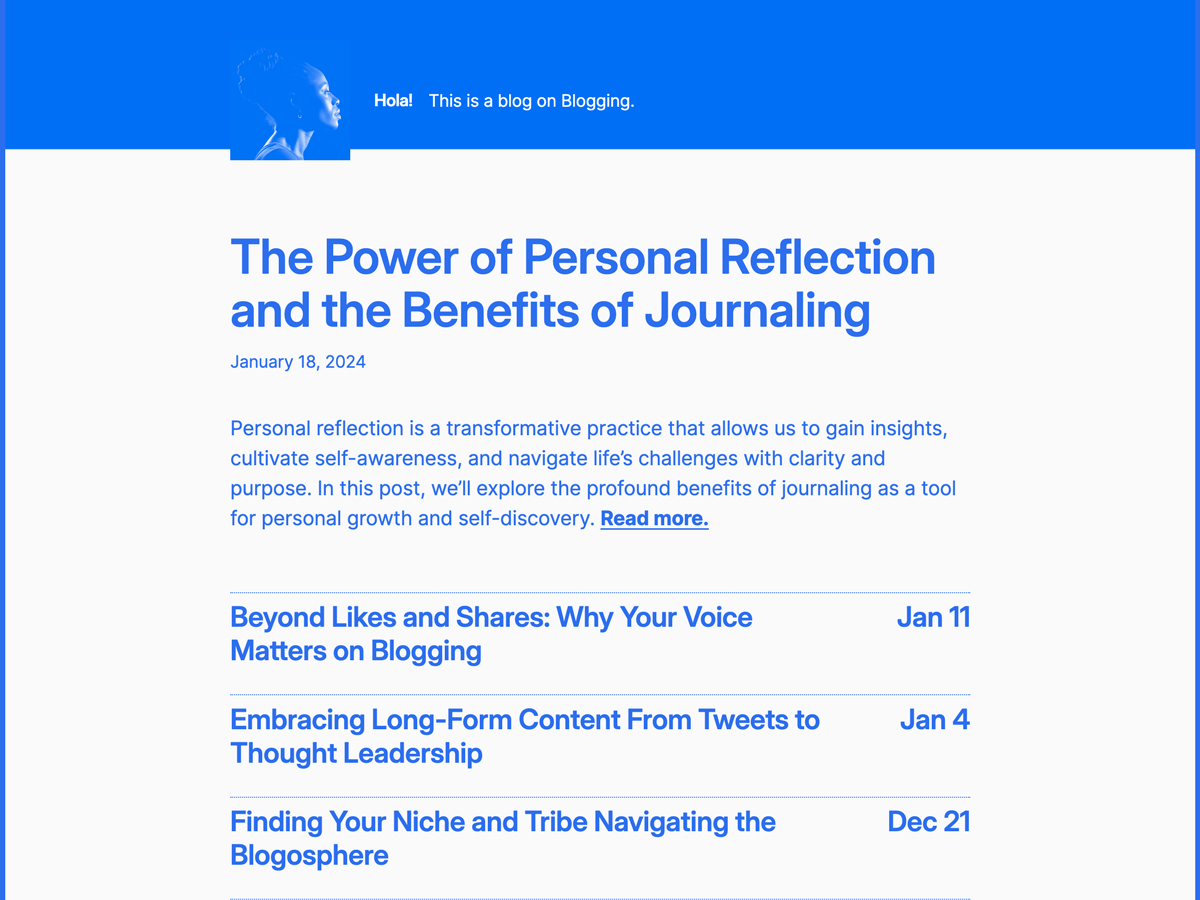 Hola WordPress 主题