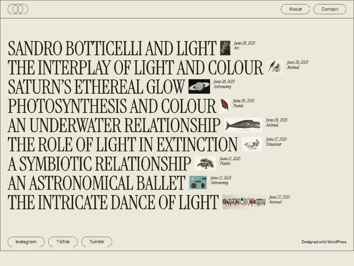 Luminance WordPress 主题