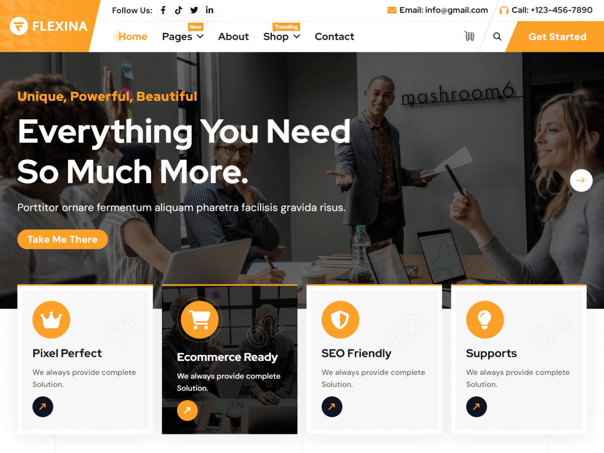 Flexina WordPress 主题