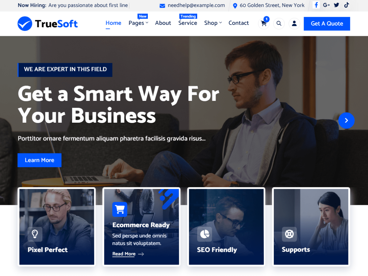 TrueSoft WordPress 主题