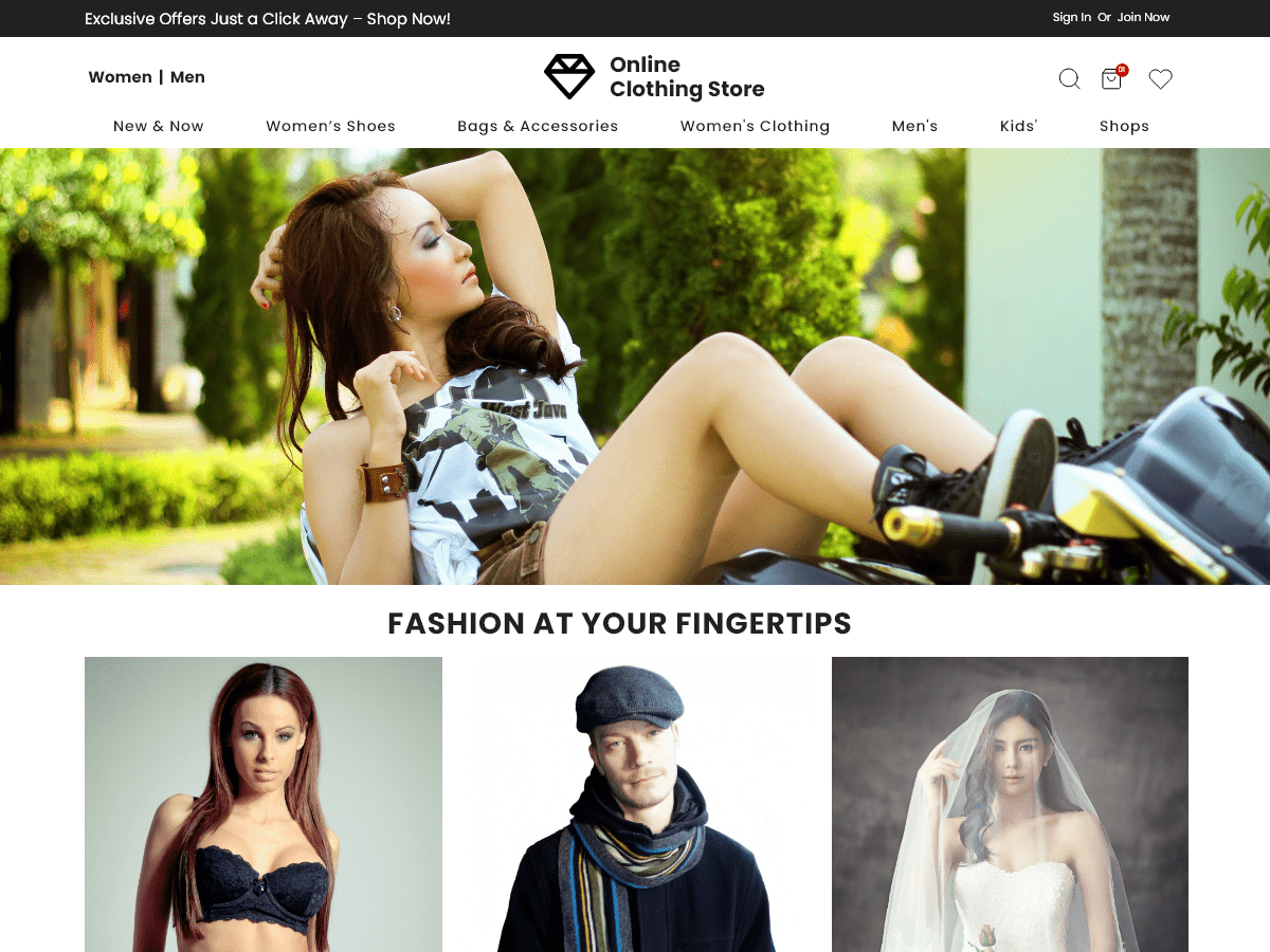 Online Clothing Shop WordPress 主题