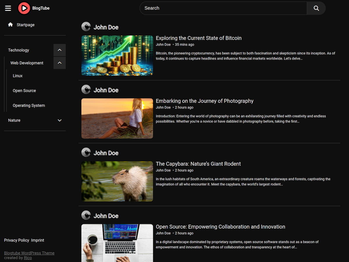 BlogTube WordPress 主题