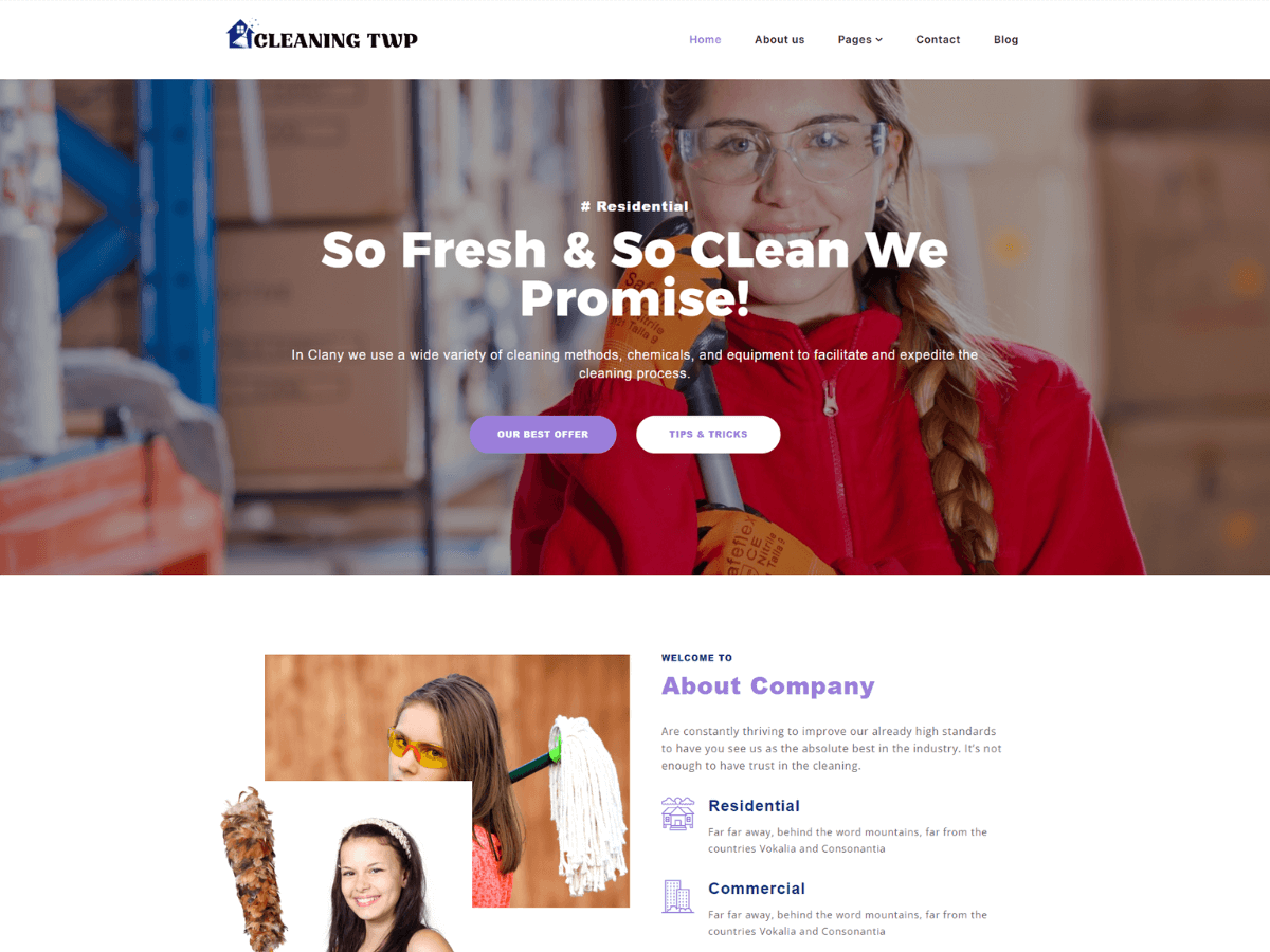 Cleaning Elementor WordPress 主题