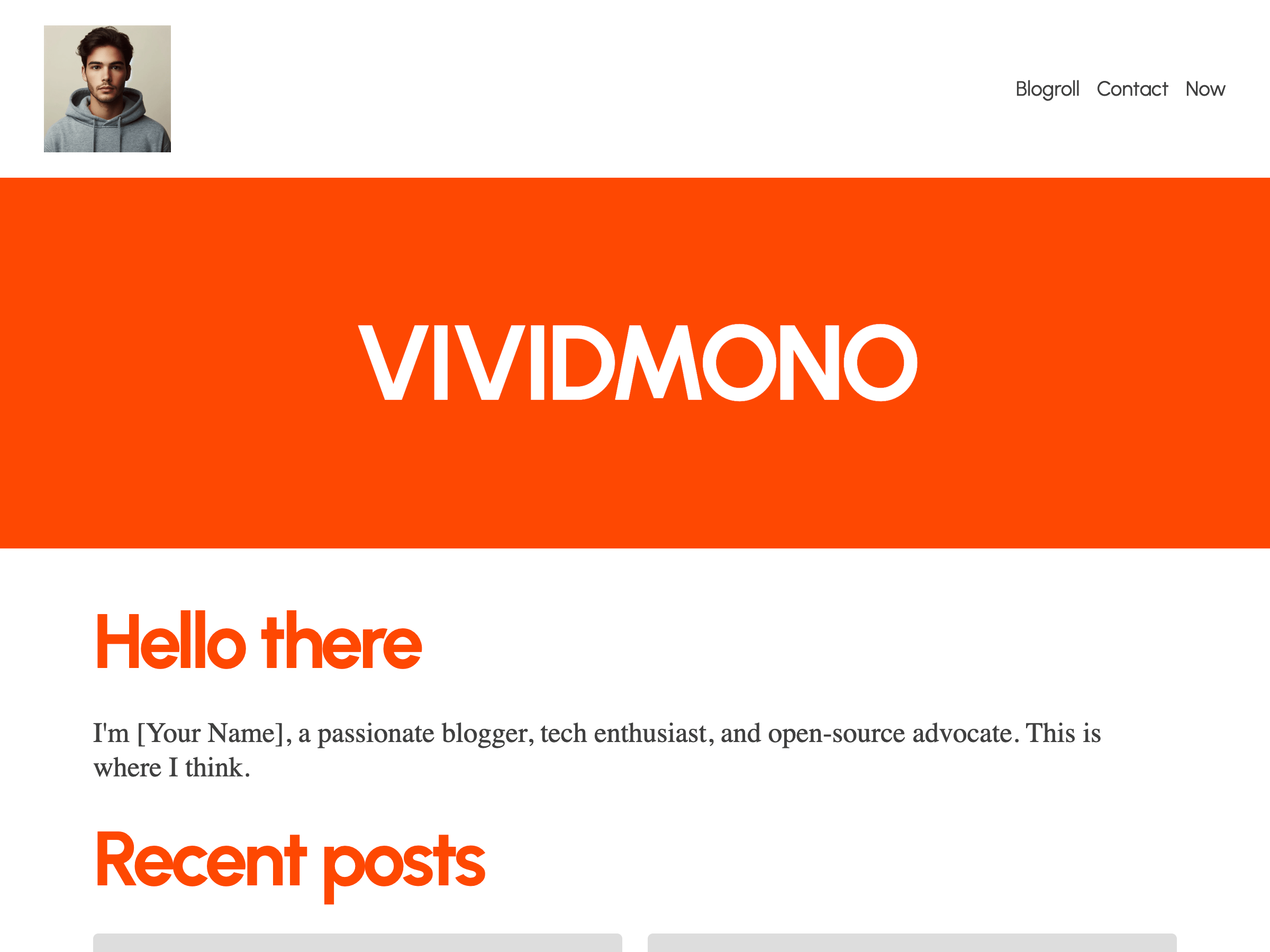 vividmono WordPress 主题