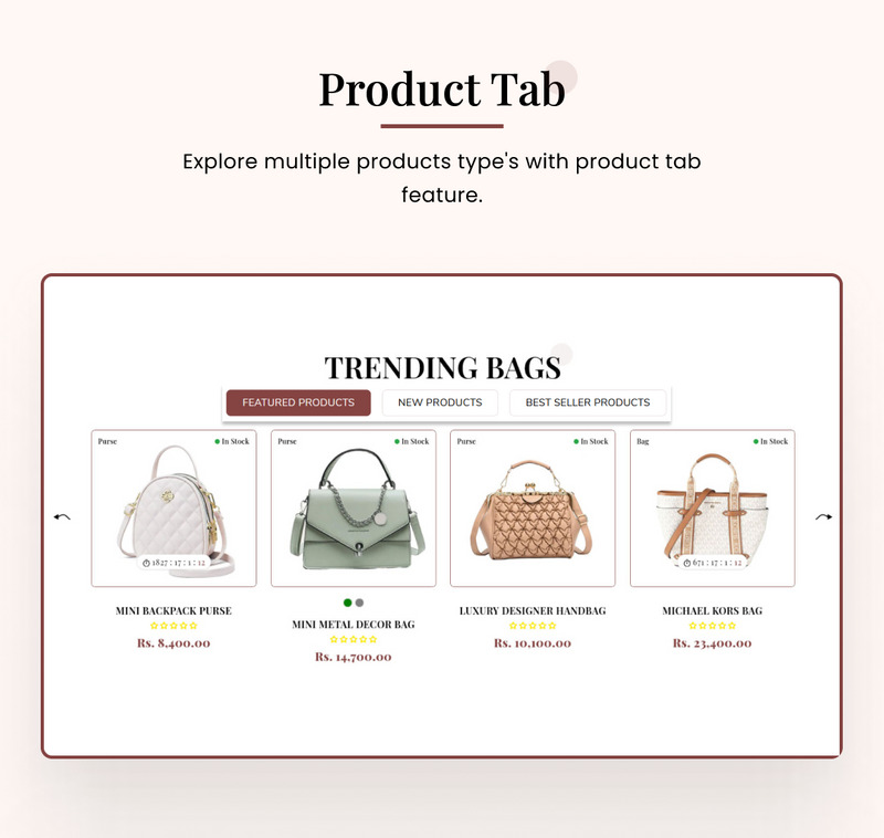 Bagstore - Mega Bag Super Shopify 2.0 主题