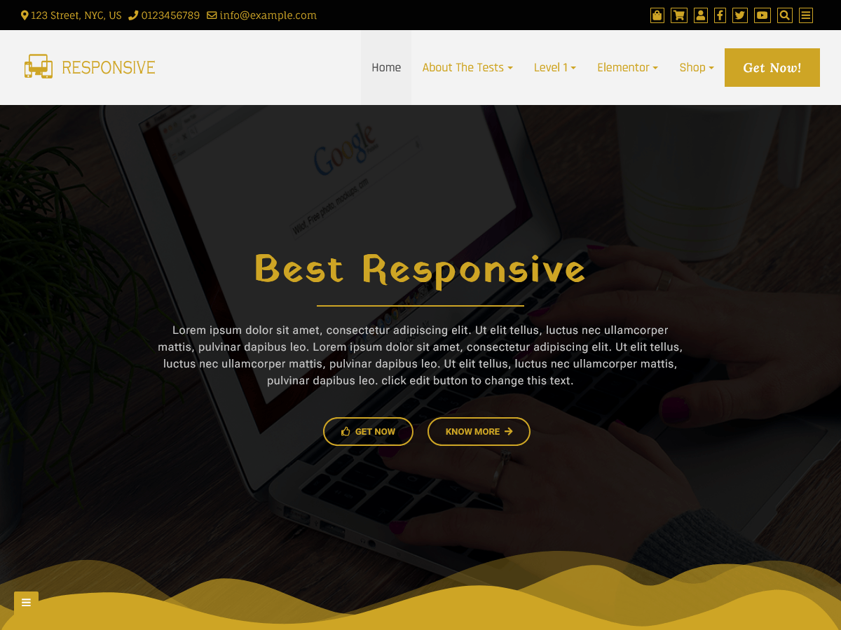 Best Responsive WordPress 主题