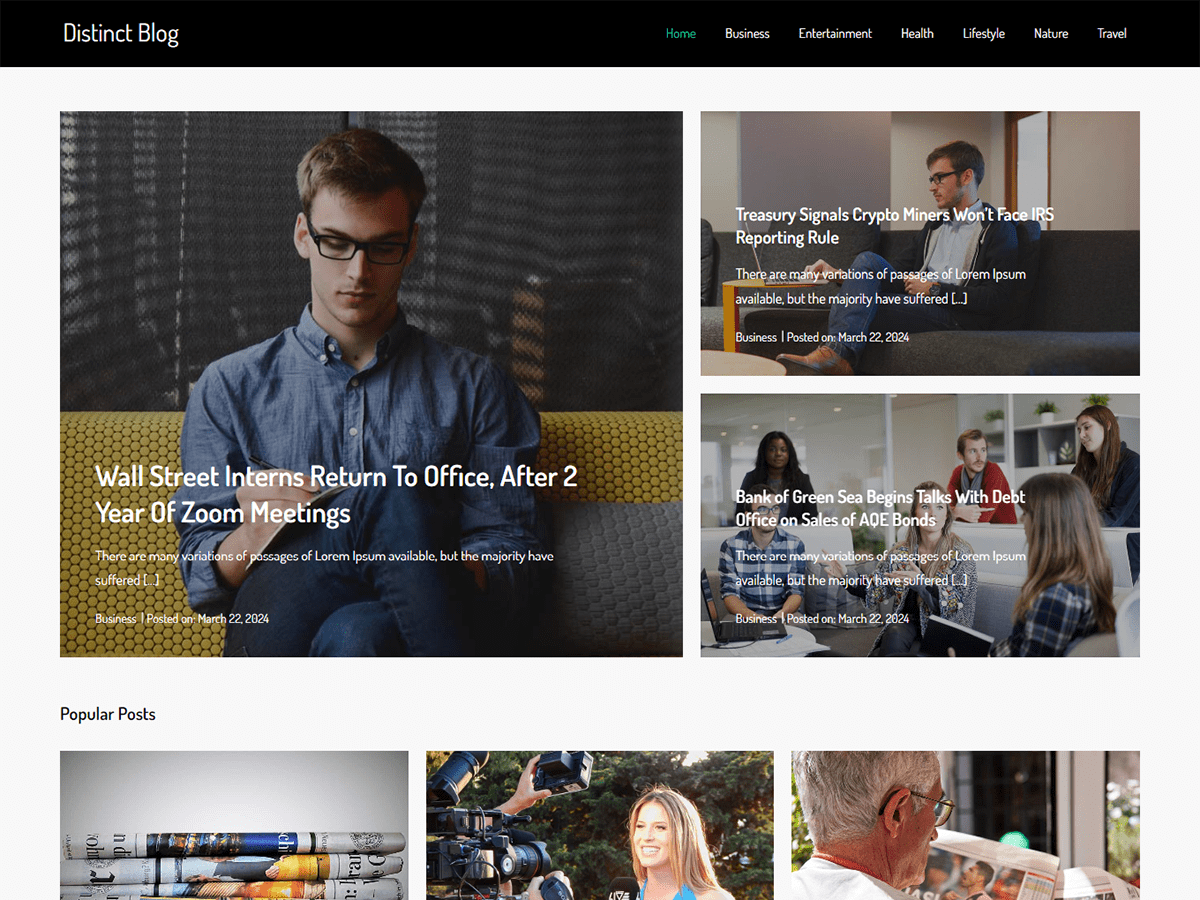 Distinct Blog WordPress 主题