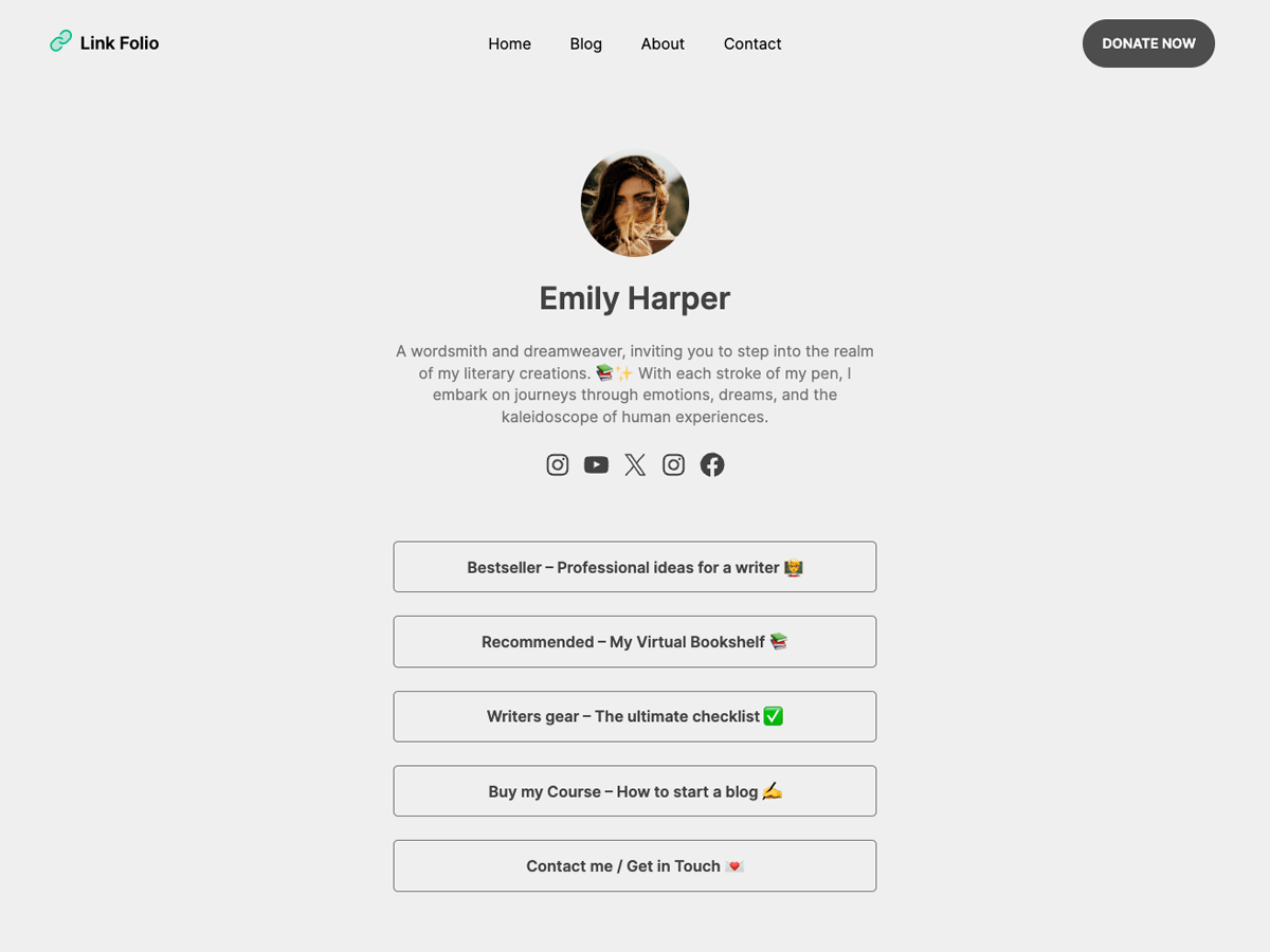 Link Folio WordPress 主题