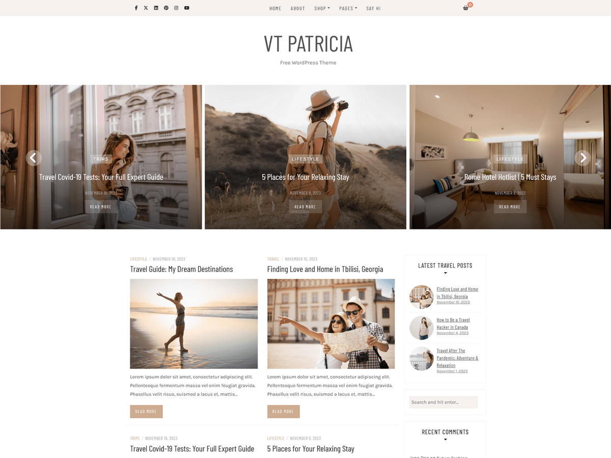 VT Patricia WordPress 主题