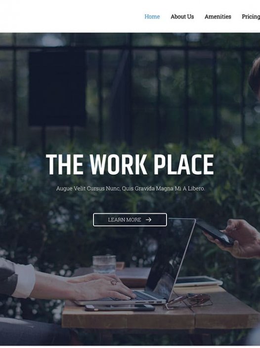 Astra 一个轻量级的WordPress免费主题