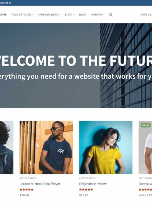 Customify 一款自定义免费主题