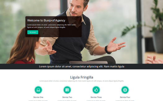 Busiprof Agency WordPress 主题