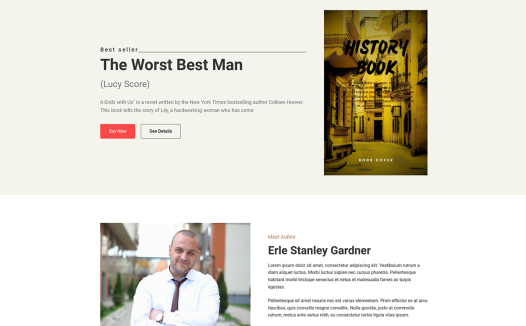 Book Author Template WordPress 主题