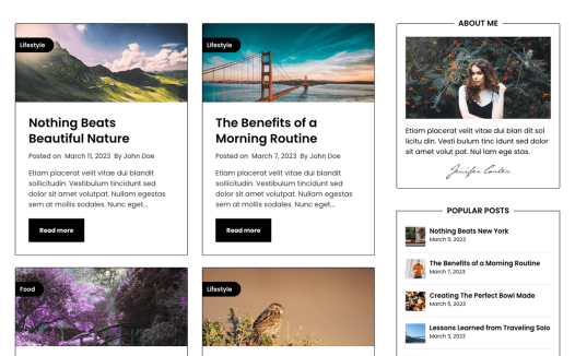 Responsive Elegance WordPress 主题