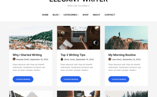 Elegant Writer WordPress 主题