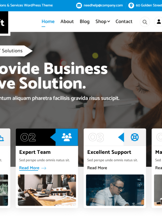 CareSoft WordPress 主题