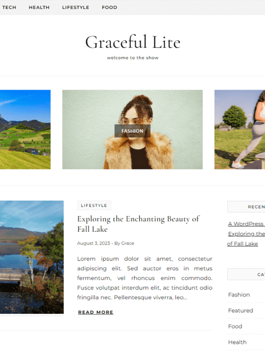 Graceful Lite WordPress 主题