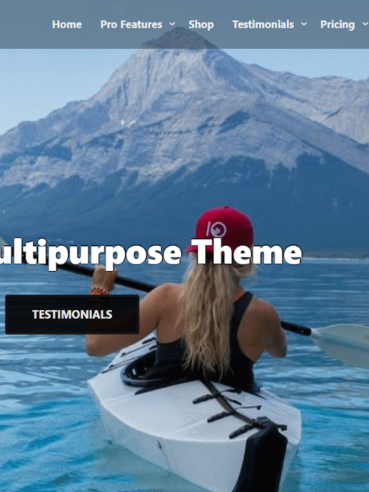 AllX WordPress 主题