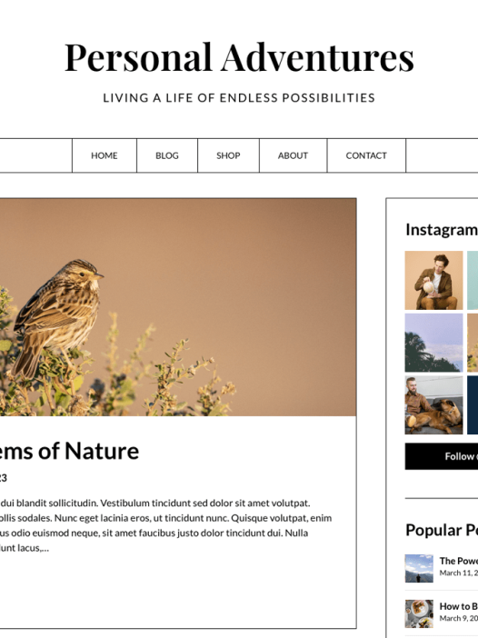 The Blog Journey WordPress 主题