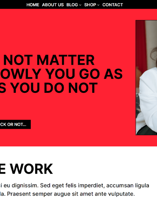 Skunk WordPress 主题