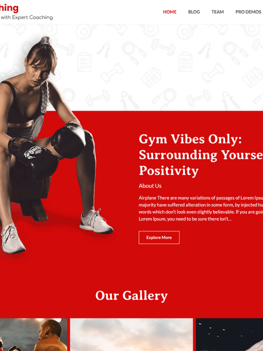 Expert Coaching WordPress 主题