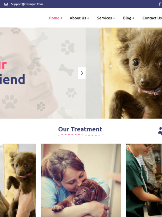 Veterinary Clinic WordPress 主题