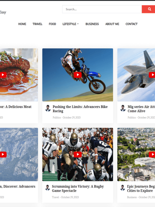 Video Vlog WordPress 主题