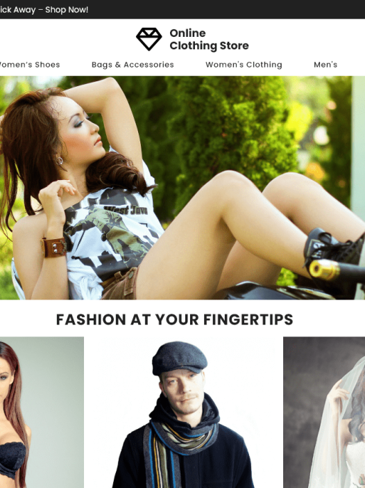 Online Clothing Shop WordPress 主题