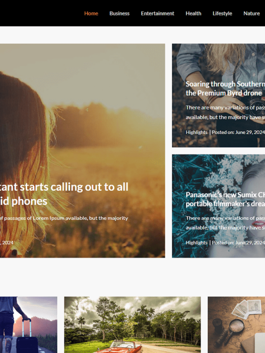 Fierce Blog WordPress 主题