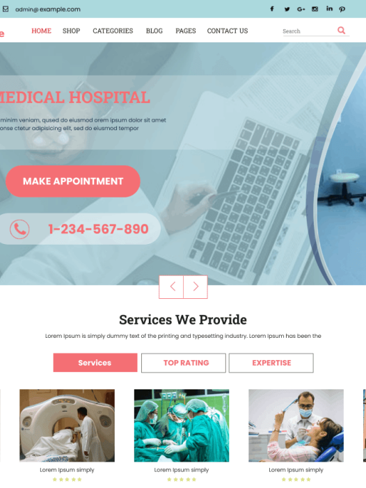 Expert Healthcare WordPress 主题
