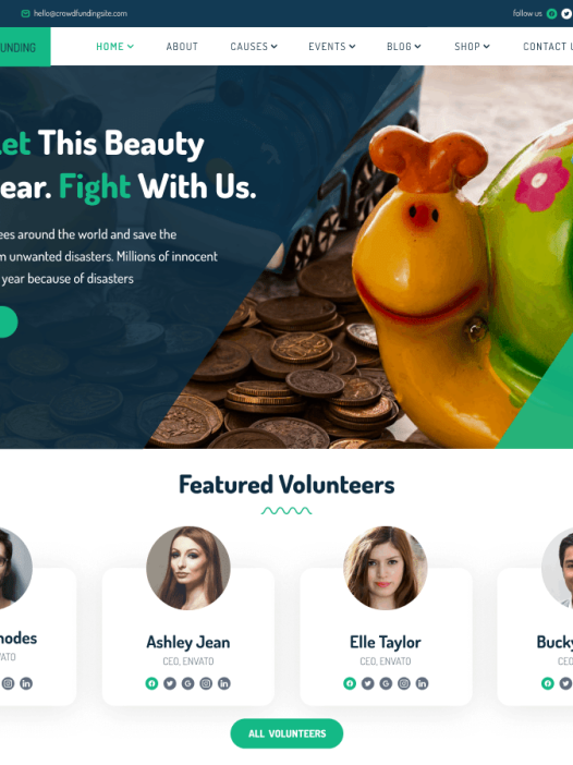 FSE Social NGO WordPress 主题