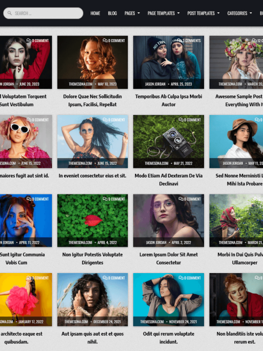 MagSoul WordPress 主题